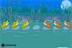 Grenouilles